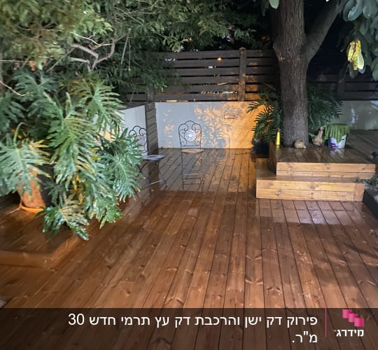 דק עץ רטוב עם עציצים ועץ גדול